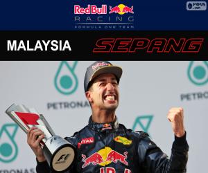пазл Даниэль Риккардо, Гран-при Малайзии 2016